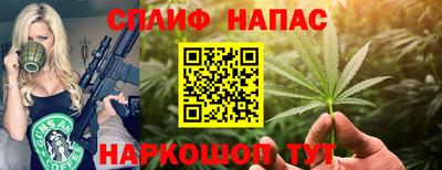 индика Будённовск