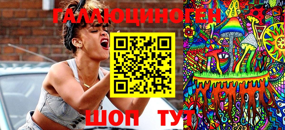 Галлюциногенные грибы Psilocybe Крымск