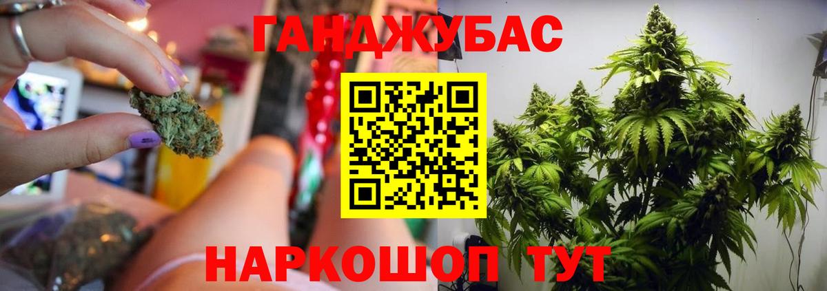 Шишки марихуана марихуана Крымск